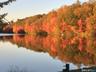 Pond