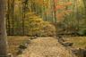 Path to Babbling Brook
