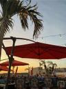 The Rooftop Citrus Bar overlooking Lake Dora - get here by boat