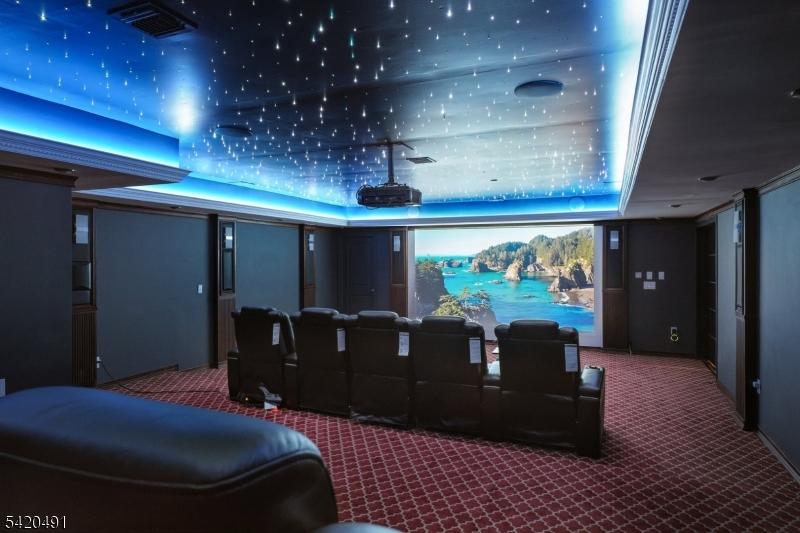 Custom Movie Theatre