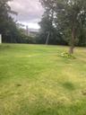 View of grassy yard featuring view of wooded area