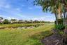 Pond View