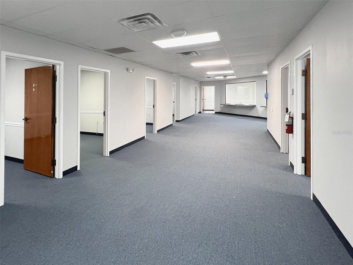 Lots of open space and individual offices