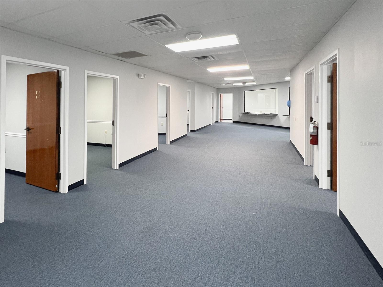 Lots of open space and individual offices