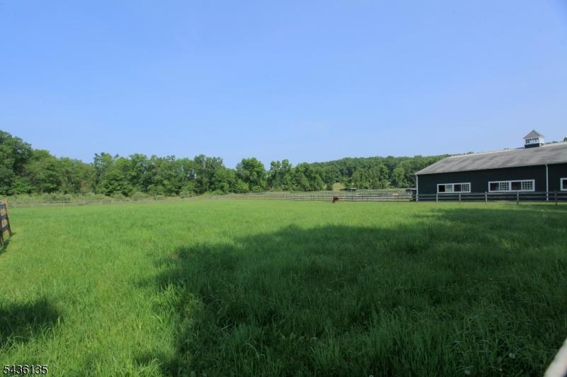 Open field