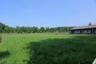 Open field