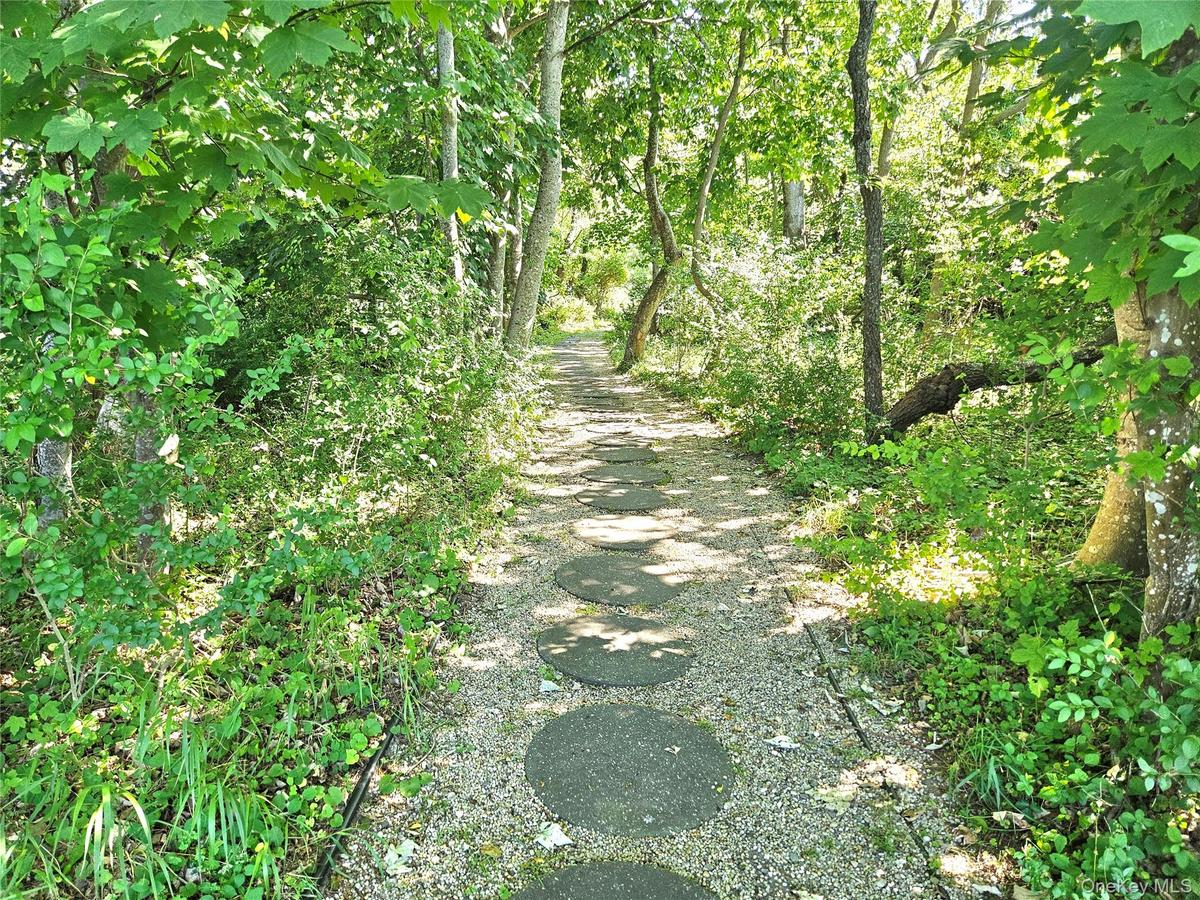 The Darling Hidden Pathway To Paradise