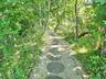 The Darling Hidden Pathway To Paradise