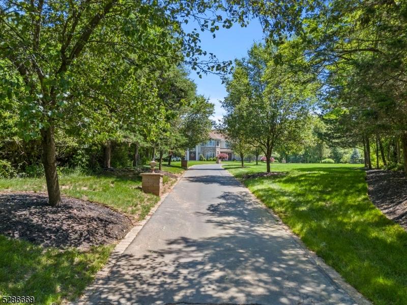 Driveway lined with Trees!