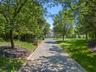 Driveway lined with Trees!