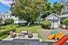 Patio and backyard