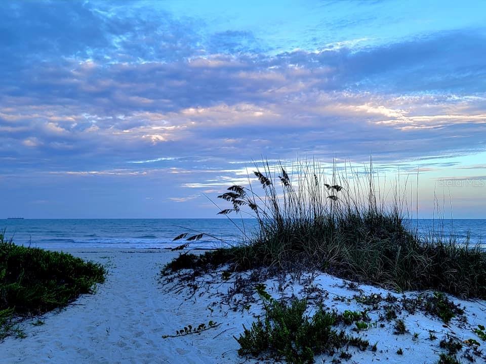 Path to the Beach from Xanadu