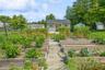 Fenced in raised bed garden and storage shed