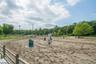 Enjoy horse shows t/o the year