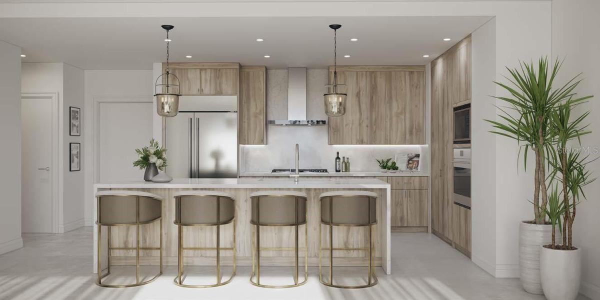 Artist Rendering Kitchen