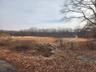 View of local wilderness featuring a rural view
