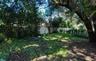 Beautiful backyard with shade trees