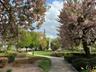 Morristown Green