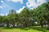 N. Straub Park across the street and views!