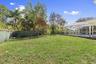 Backyard (3)