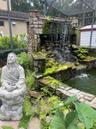 Cascading waterfall into koi pond