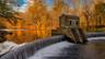 Speedwell Park