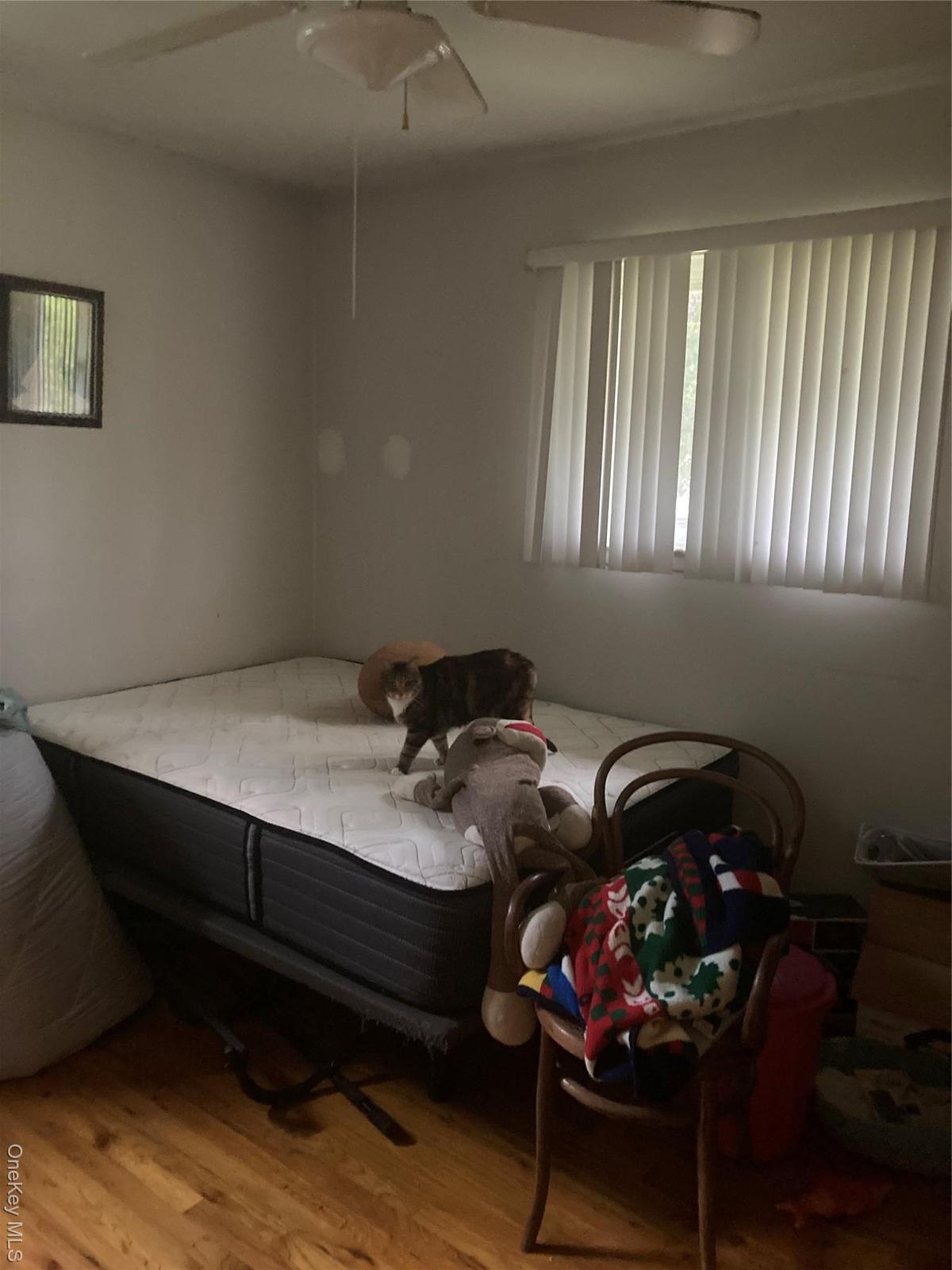 Bedroom with wood finished floors and ceiling fan