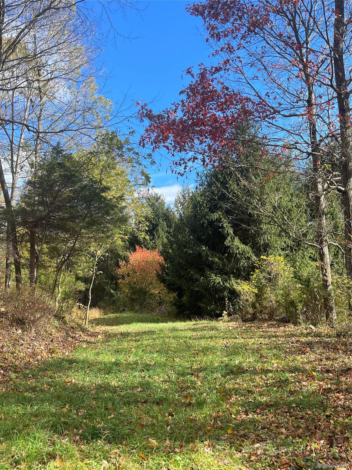 View of small area of the property