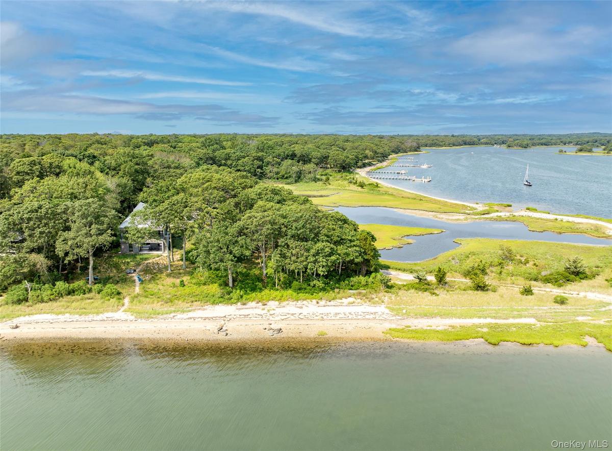 Bird's eye view of a large body of water and a heavily wooded area