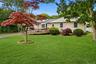 Mature Landscaping, Solar Panels