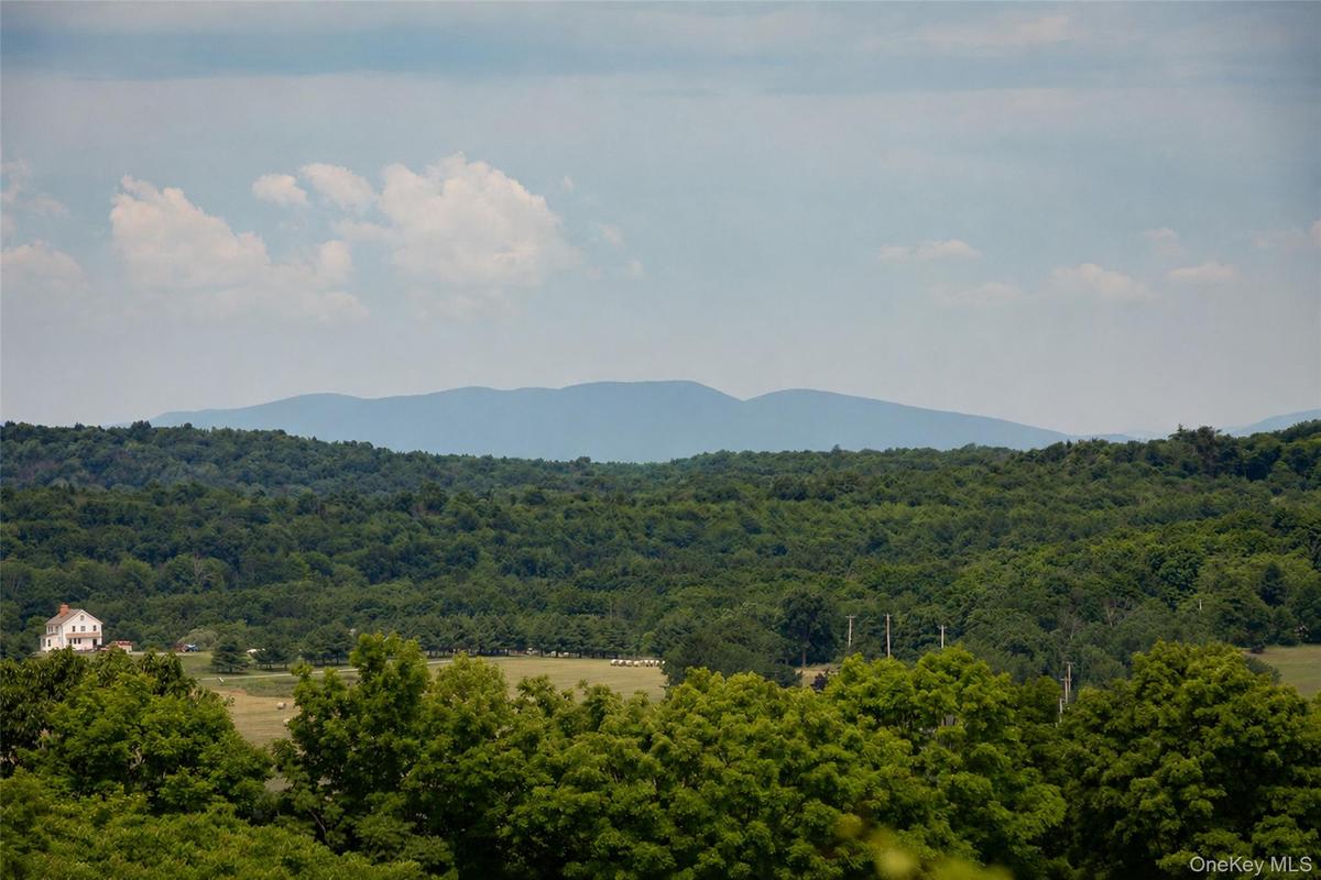 Catskill Mountains view