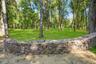View of grassy yard