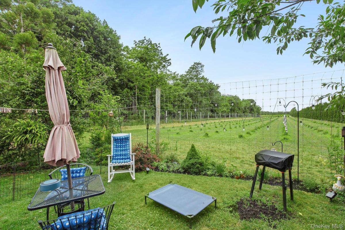 Yard with Tree Farm views