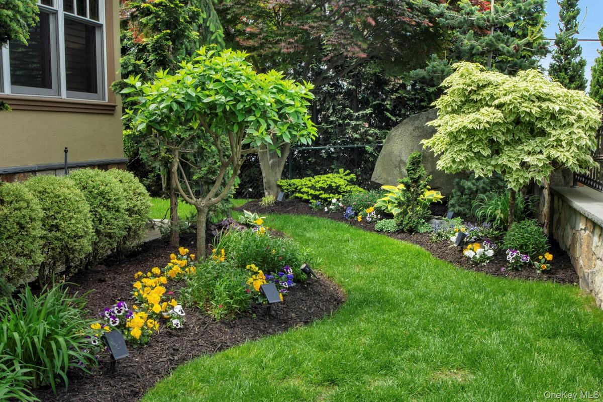 Front lush yard