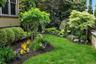 Front lush yard