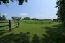 Wood fenced fields