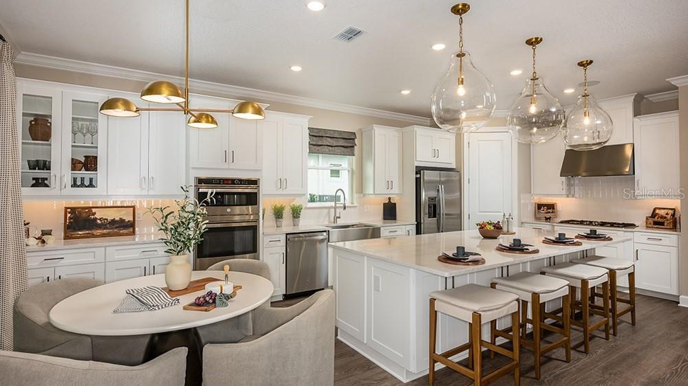 1003 Tassleflower Trail - Model Home Leaseback