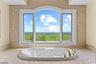 Primary Tub with a View