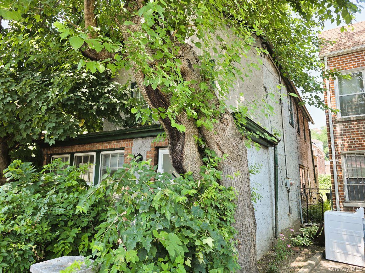 Exterior featuring mature trees, a stucco facade, brick accents, and white-framed windows with dark green trim