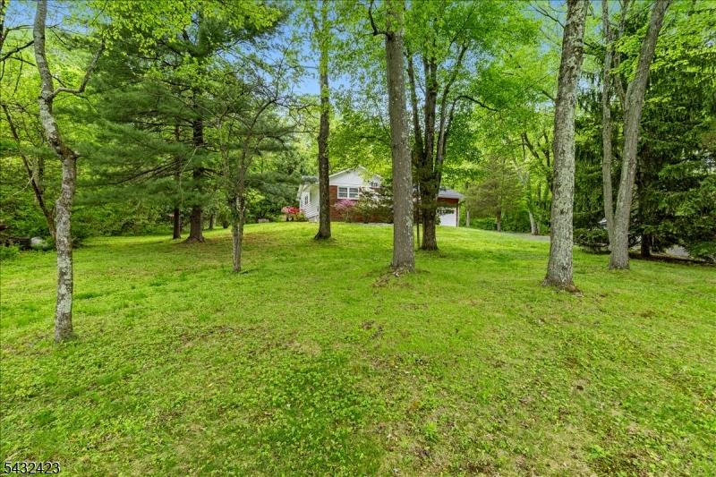 View from rodaway