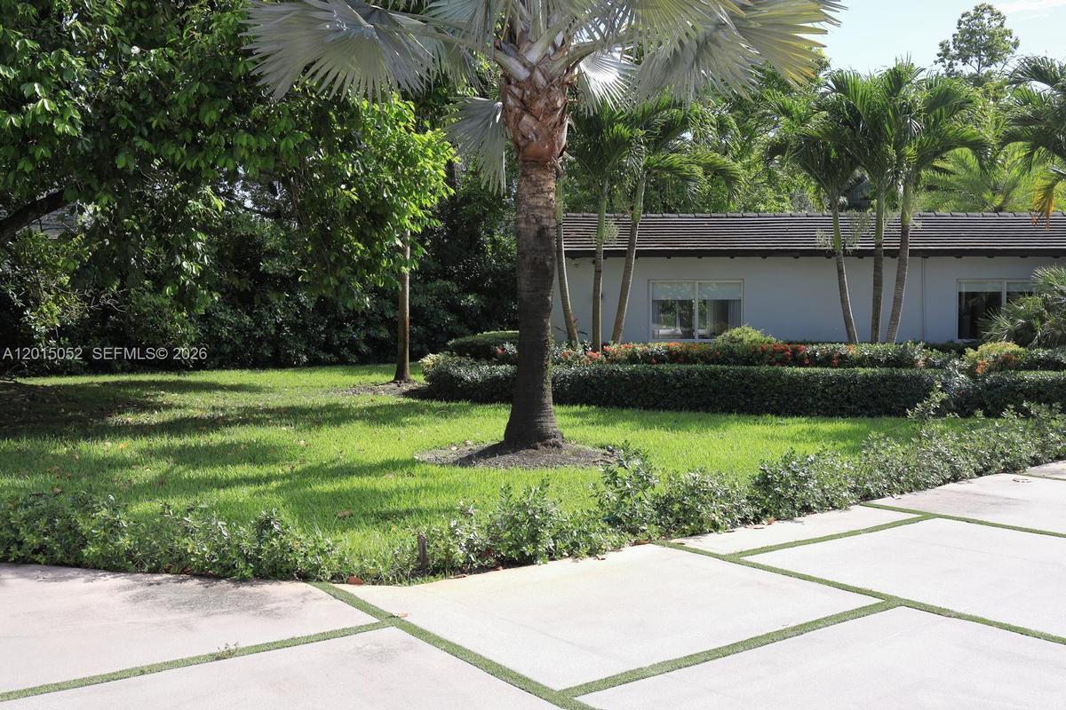 Front Yard