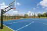 Basketball Court