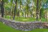 View of grassy yard with view of wooded area