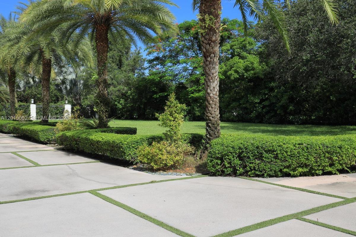 Front Yard
