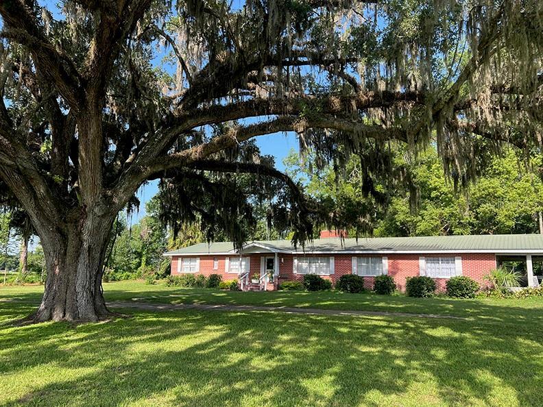 front view with huge oak tree