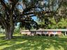 front view with huge oak tree