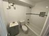Lower level Bathroom
