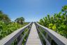 Boardwalk