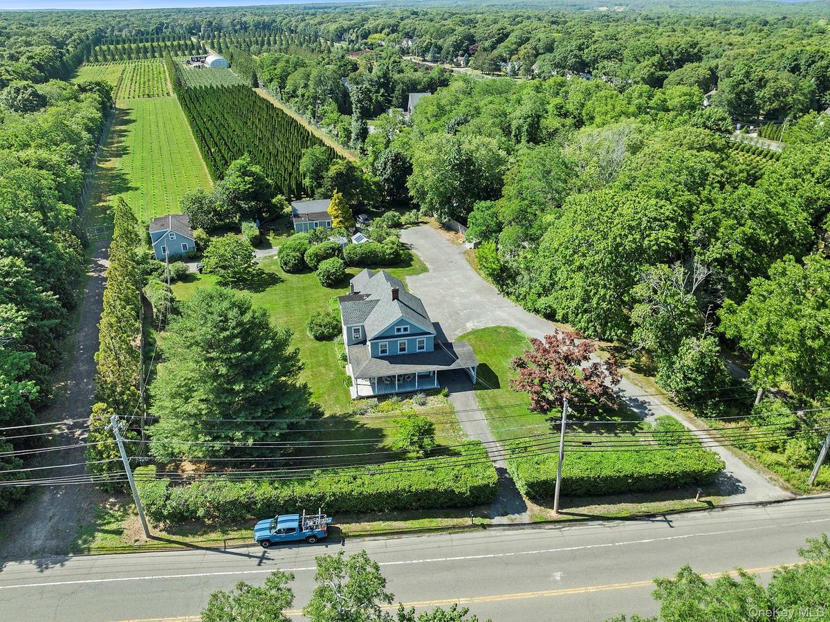 Main House, Tree Farm