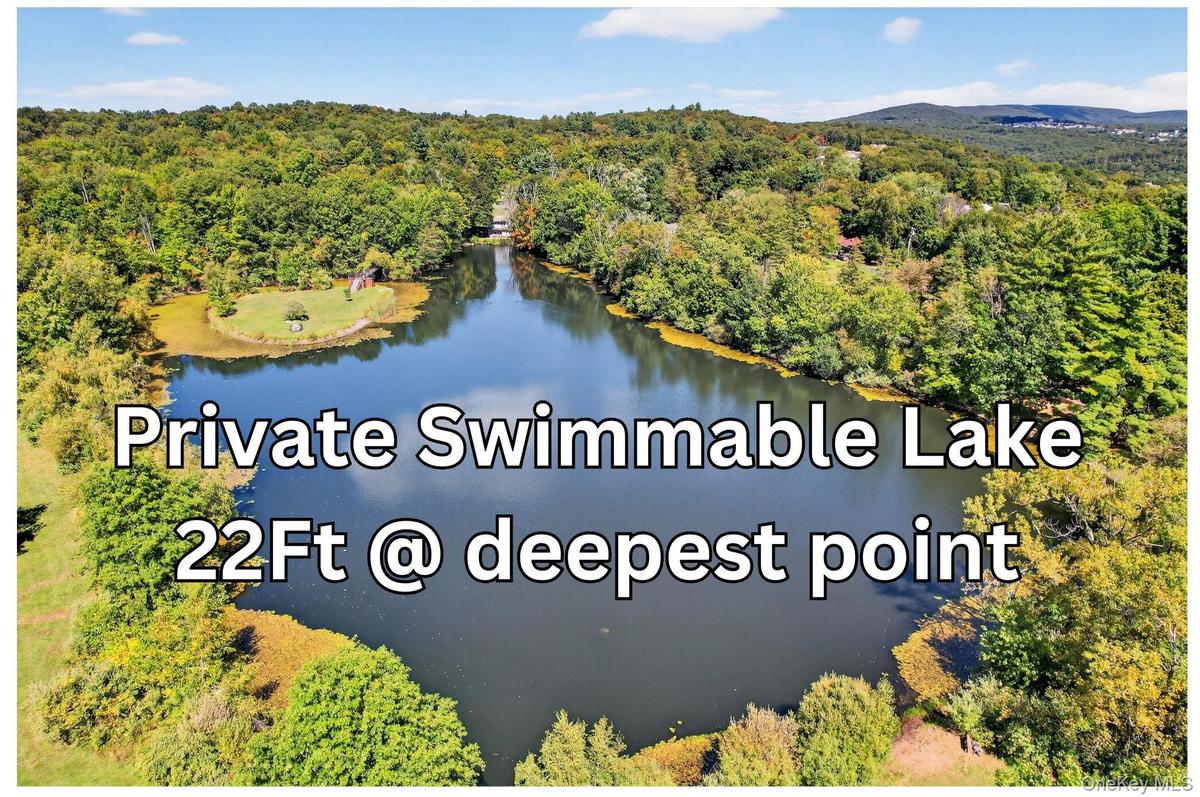 Drone / aerial view of a large body of water and a heavily wooded area